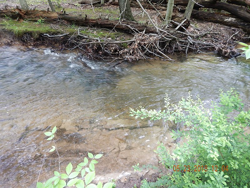 DSCN3225.jpg - It was difficult to get a brookie to leave the bottom of a hole this deep for a dry.
