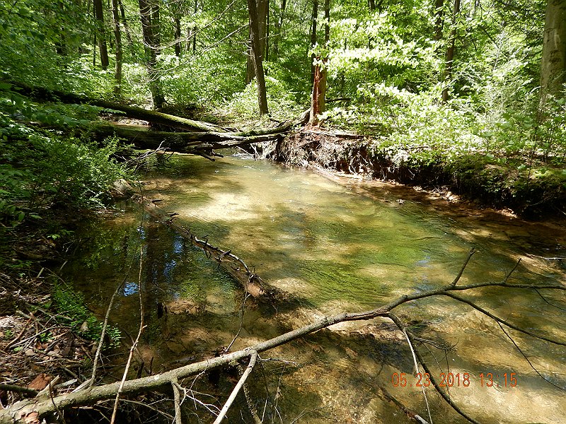 DSCN3228.jpg - Unfortunately, the chubs were hitting too.  I got a few from this hole.