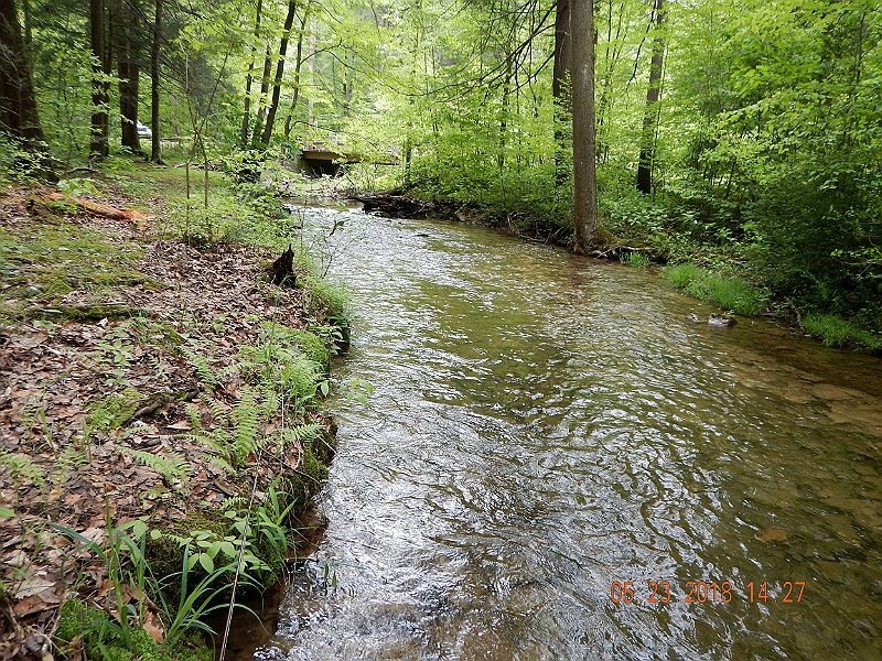 DSCN3234.jpg - This run was responsible for most of my misses.  It was full of fish.