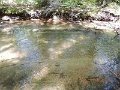 DSCN3229