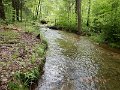 DSCN3234