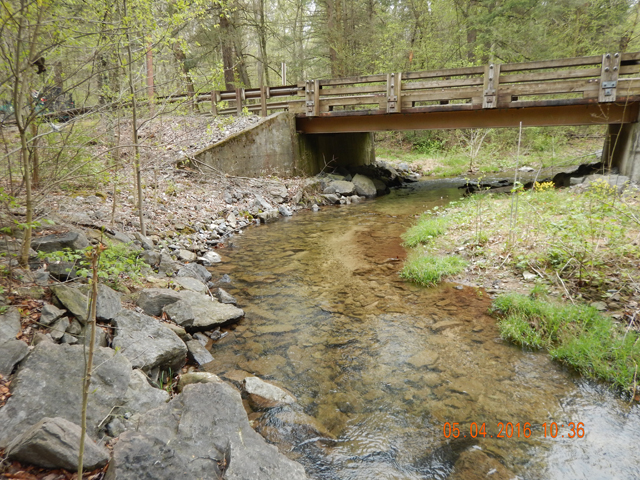 16.jpg -                                In the morning, the fish in this run hit without hesitation.  Later in the day...not so much.