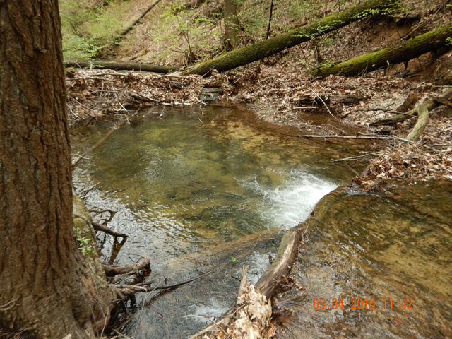 26.jpg -                                With holes like this, it's no wonder that the fish like to live here.