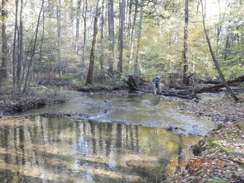 $Shaeffer004$.jpg - And the water temps in the 50's should have made for a fish catching trip...but not so.