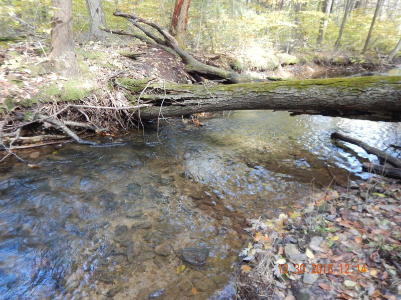$Shaeffer010$.jpg - And, as with Ed's, this deep pool was its home.