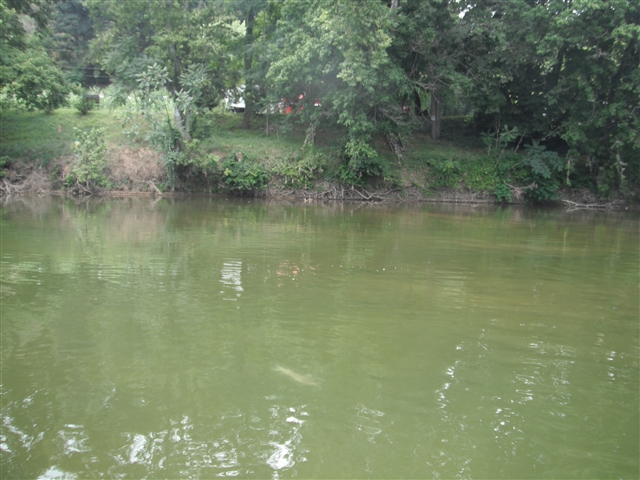 DSCF0089.jpg