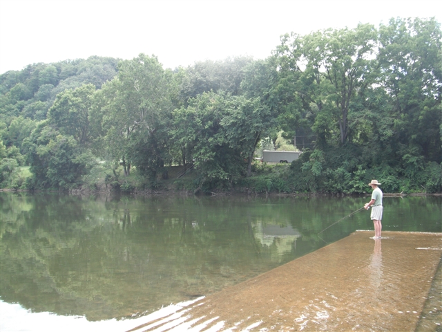 DSCF0095.jpg