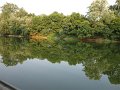 DSC00239