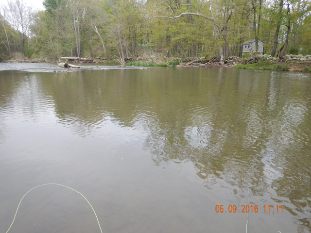14.jpg -                          The water was a bit murky from recent rains.      