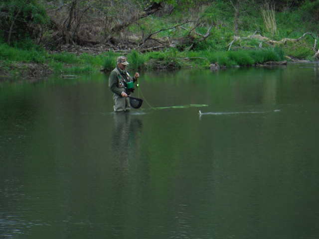 8.jpg - Here I am netting another.  Wish these fish would fight as hard as the little natives.