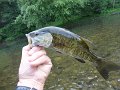 DSC00151001