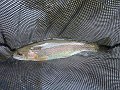 DSC00153001