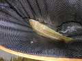 DSC00154001