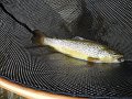 DSC00164001