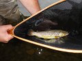 DSC00166001