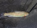 DSC00169001