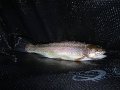 DSC00172001