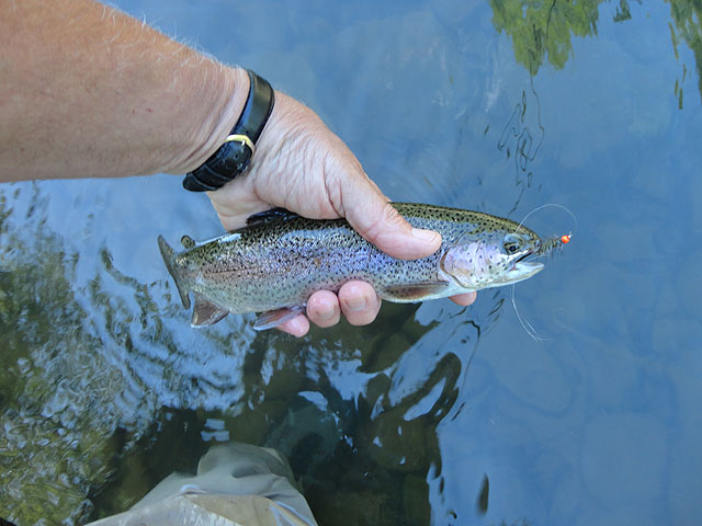 DSC00942.jpg -                                My Rainbow at the Bass Hole on Kettle
