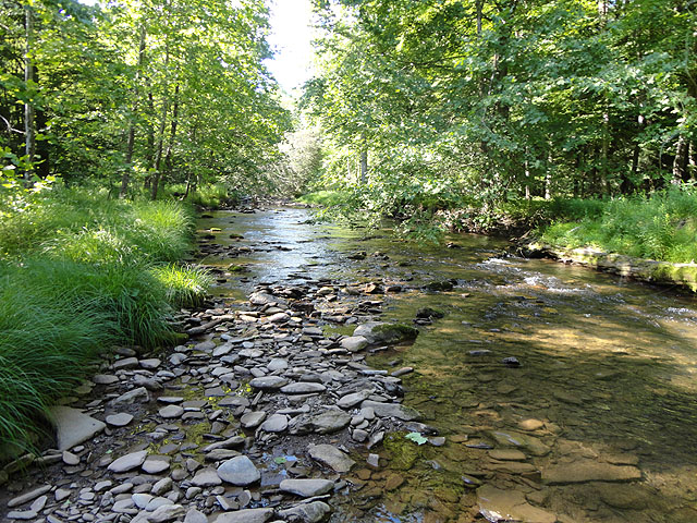 DSC00965.jpg - Senic - water a little low.                               