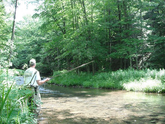 DSCF0194.jpg - Fishing the stream
