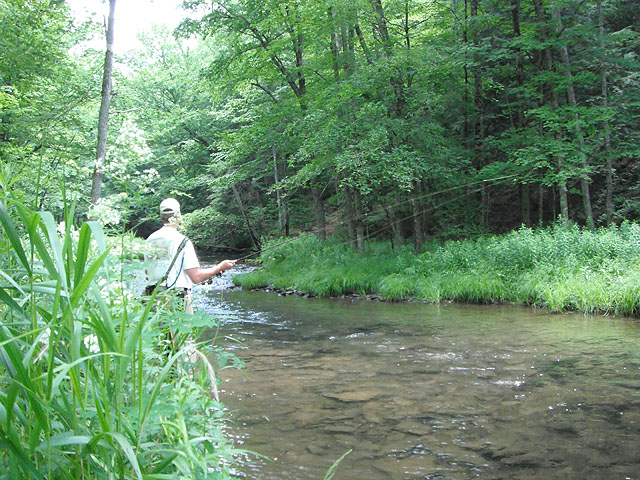 Fishingthestream2.jpg - Gary in Wild Trout Country