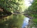 DSC00960