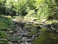 DSC00961
