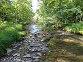 DSC00965