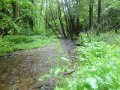 DSC01708