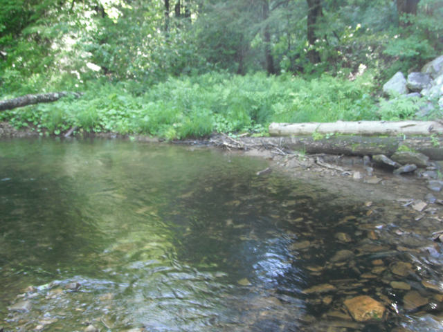 DSCF0424.jpg