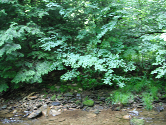 DSCF0428.jpg