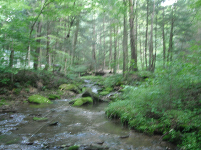 DSCF0442.jpg