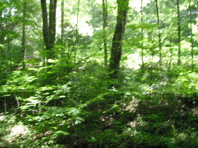 DSCF0447.jpg