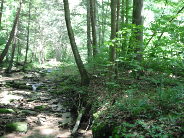 DSCF0451.jpg