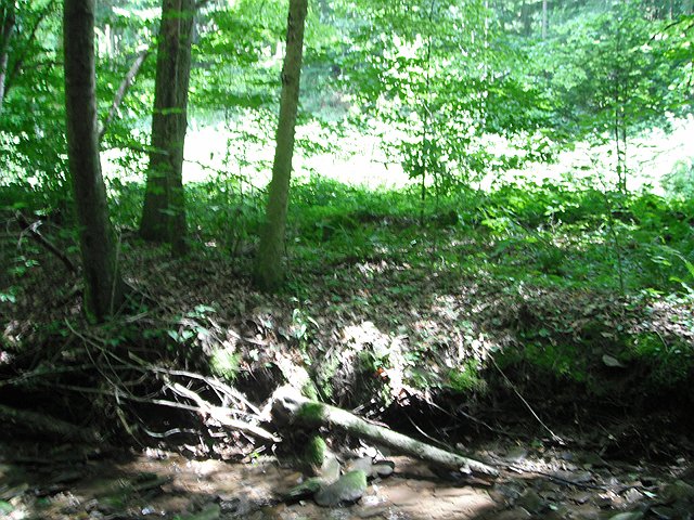 DSCF0454.jpg