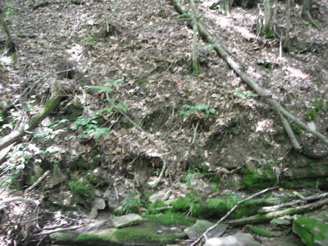 DSCF0459.jpg