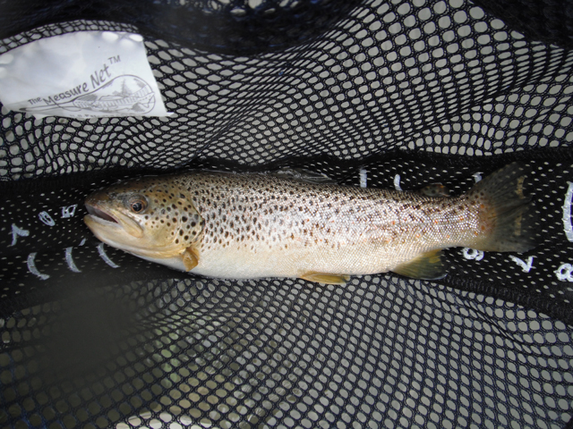 DSCF0465.jpg