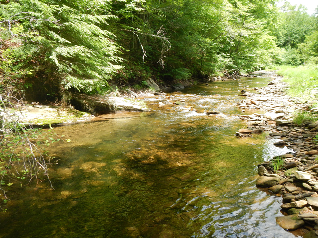 DSCN0160.jpg -                                