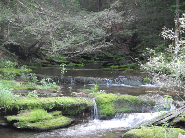 DSCN0200.jpg -                                I found this area as we were leaving.  Never had a chance to fish it.  Sure is pretty though.