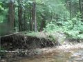 DSCF0431