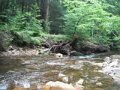 DSCF0435