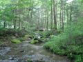 DSCF0442