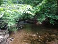 DSCN0166