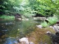 DSCN0167