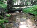 DSCN0172