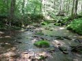 DSCN0175