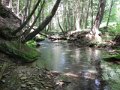 DSCN0191