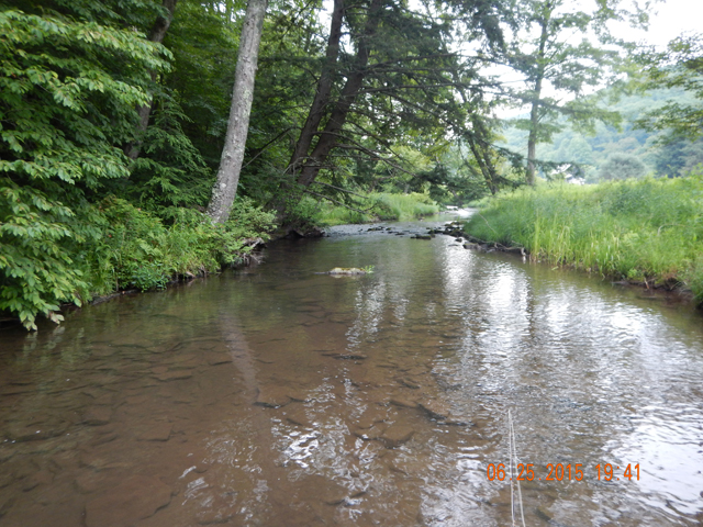DSCN0461.jpg -                                