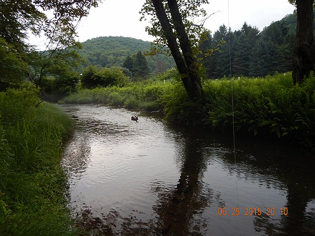 DSCN0464.jpg -                                