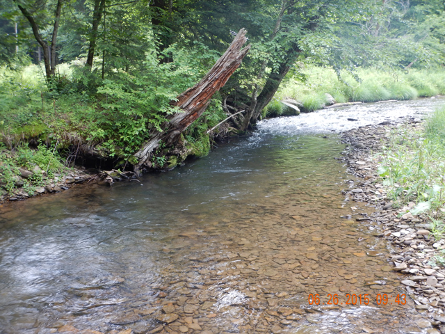 DSCN0471.jpg -                                